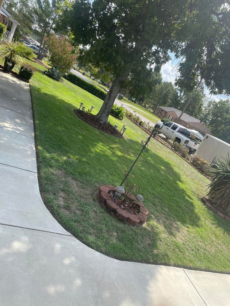 Our professional stump grinding service efficiently removes unwanted tree stumps, enhancing your landscape's aesthetics and safety while creating a seamless space for gardening or new plantings. Transform your yard with ease today! for Sparks Landscaping in Augusta, GA