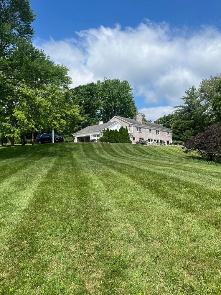 All Photos for Cincinnati’s Finest Landscape Services LLC in Cincinnati, OH