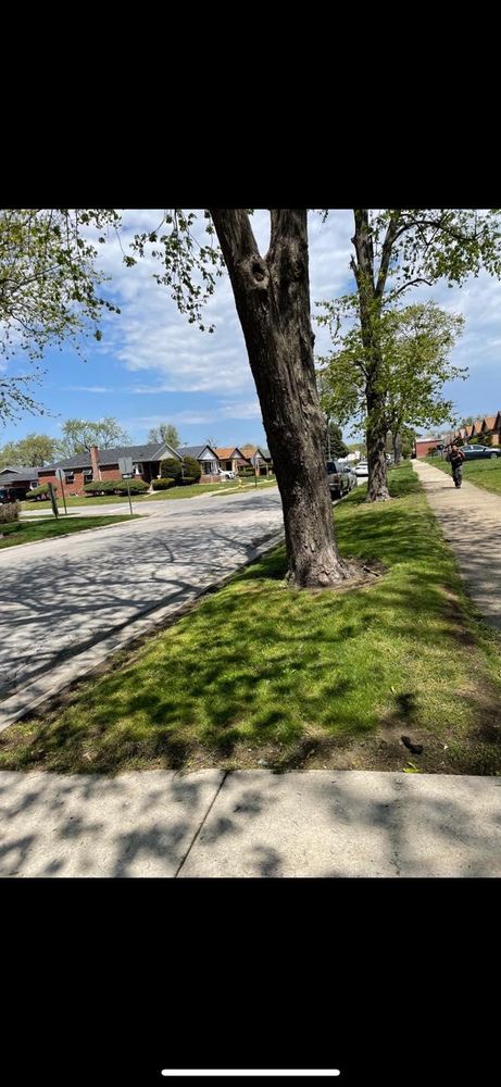 All Photos for H&G Landscapes LLC in Elmhurst, IL