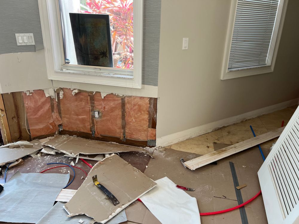 Mold Remediation for N&D Restoration Services When Disaster Attacks, We Come In in Cape Coral,  FL