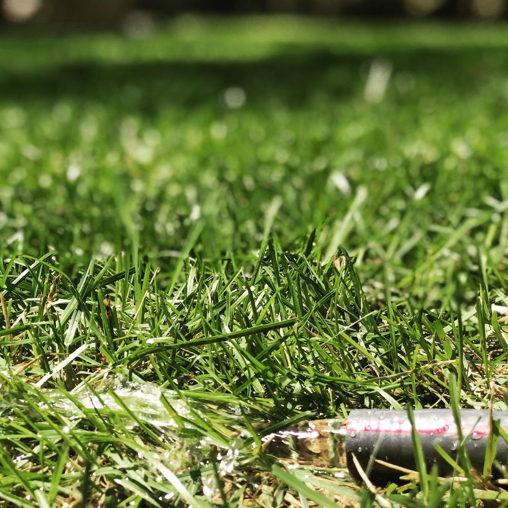 All Photos for LGZ Landscaping LLC in Belleville, NJ