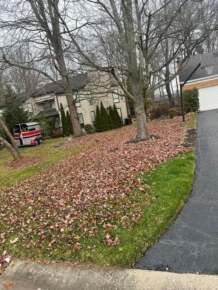 All Photos for Cincinnati’s Finest Landscape Services LLC in Cincinnati, OH