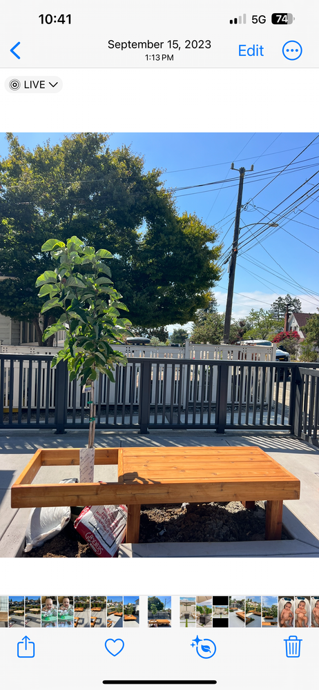 All Photos for Digging Dudes in Hayward, CA