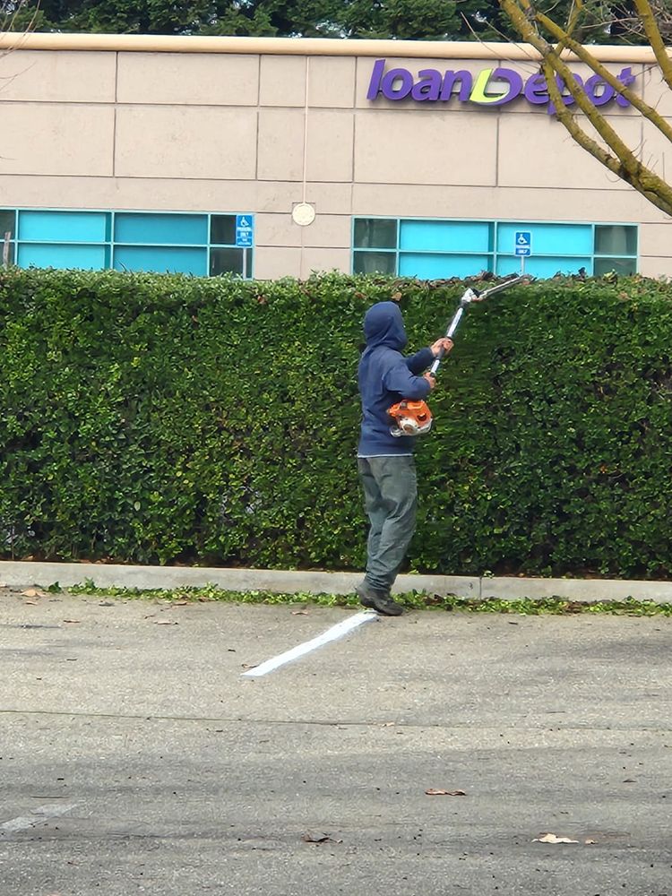 Hardscaping for Vargas LANSCAPE LLC in Stockton, CA