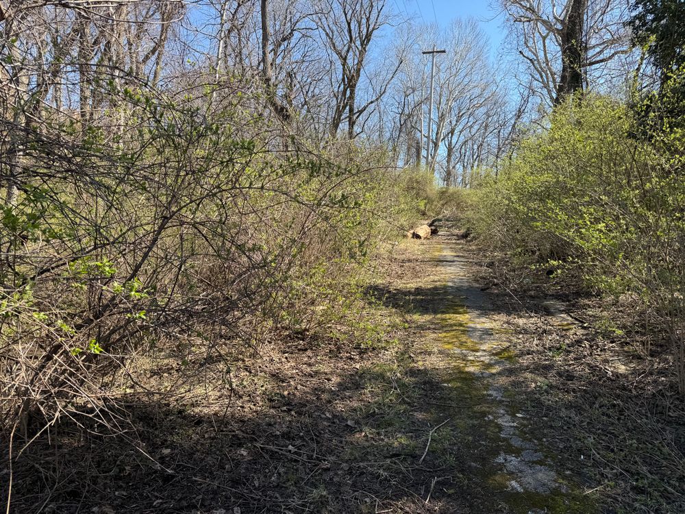 All Photos for A1 Bush Hogging & Lawn Service in London, OH