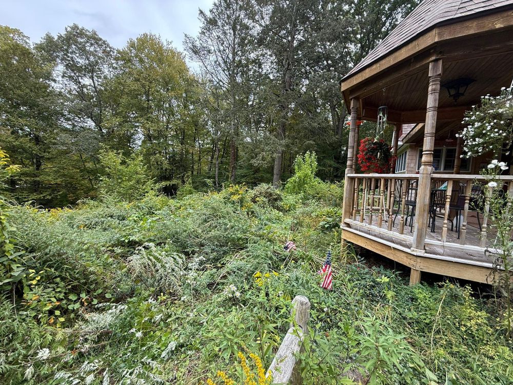 All Photos for Navedo’s Lawn Care in Putnam, CT