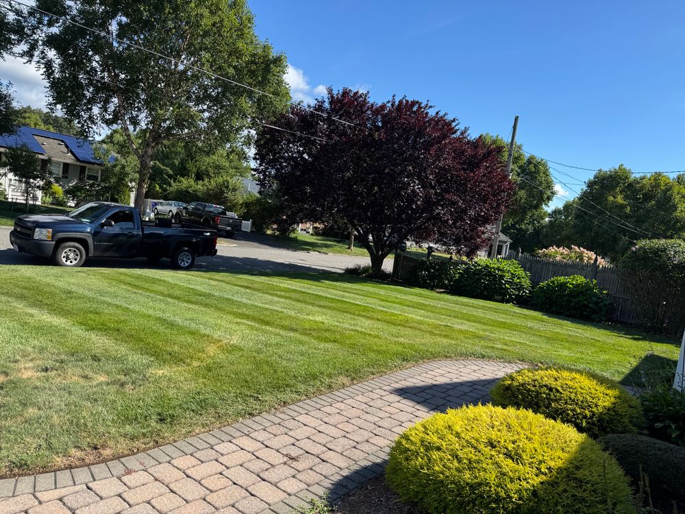 All Photos for Adams Landscaping in Springfield, MA