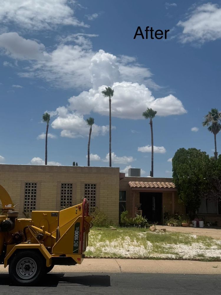 Stump Removal for By Faith Landscaping in Sierra Vista, AZ