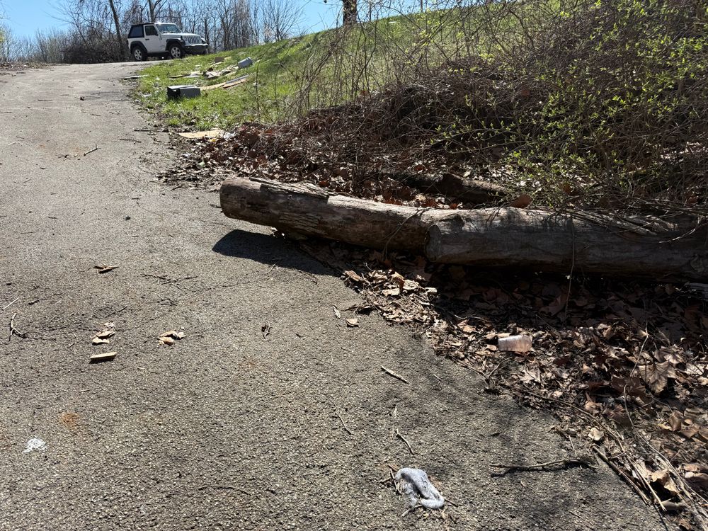 All Photos for A1 Bush Hogging & Lawn Service in London, OH