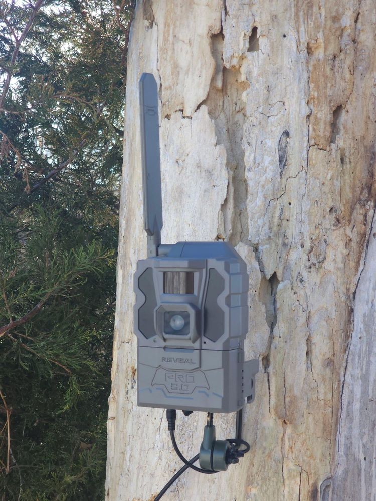 All Photos for Bluff Country Whitetails in Southern Indiana, IN