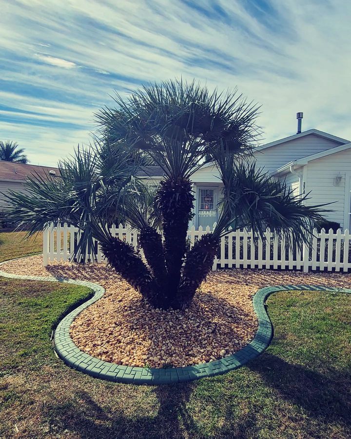 All Photos for TopNotch Landscaping Services  in The Villages, FL