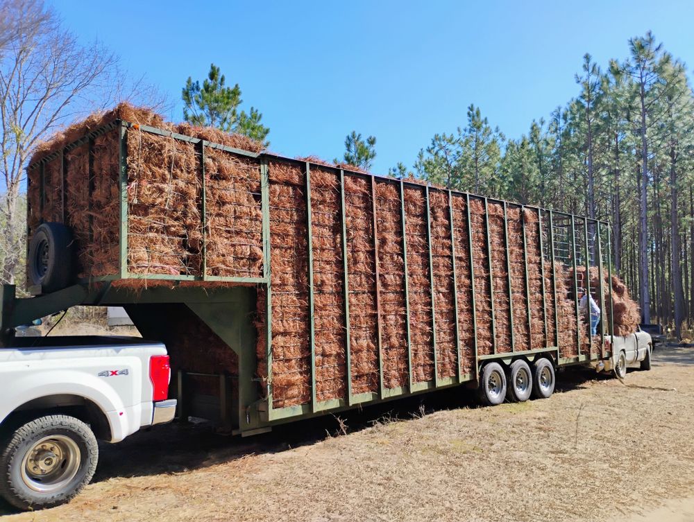 BAM Another Pinestraw Lot team in Flowery Branch, GA - people or person