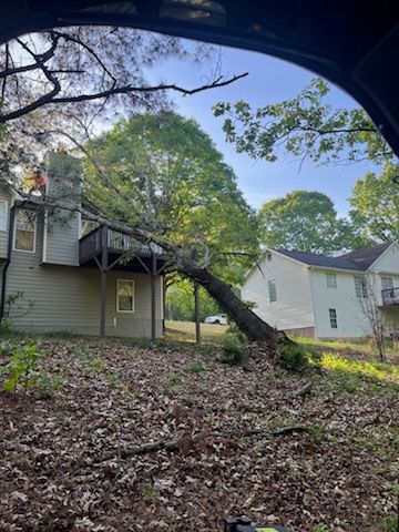 All Photos for J&M Stump Grinders LLC in Douglasville, GA