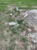 All Photos for Oviedo Land & Garden in Bastrop, TX