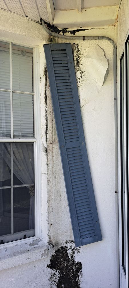 All Photos for Perfection Custom Painting LLC in Port Charlotte, FL