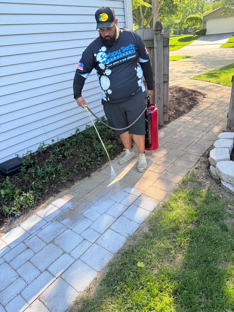 All Photos for Soapy Suds Services in St. Charles, IL