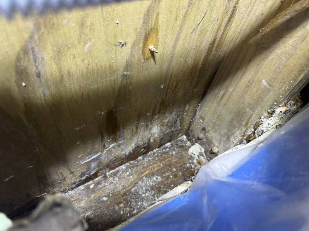 All Photos for Surplus Public Adjusters in Miami-Dade County, FL