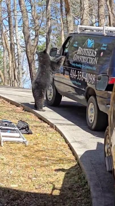 All Photos for Brother’s Construction in Sevierville, TN