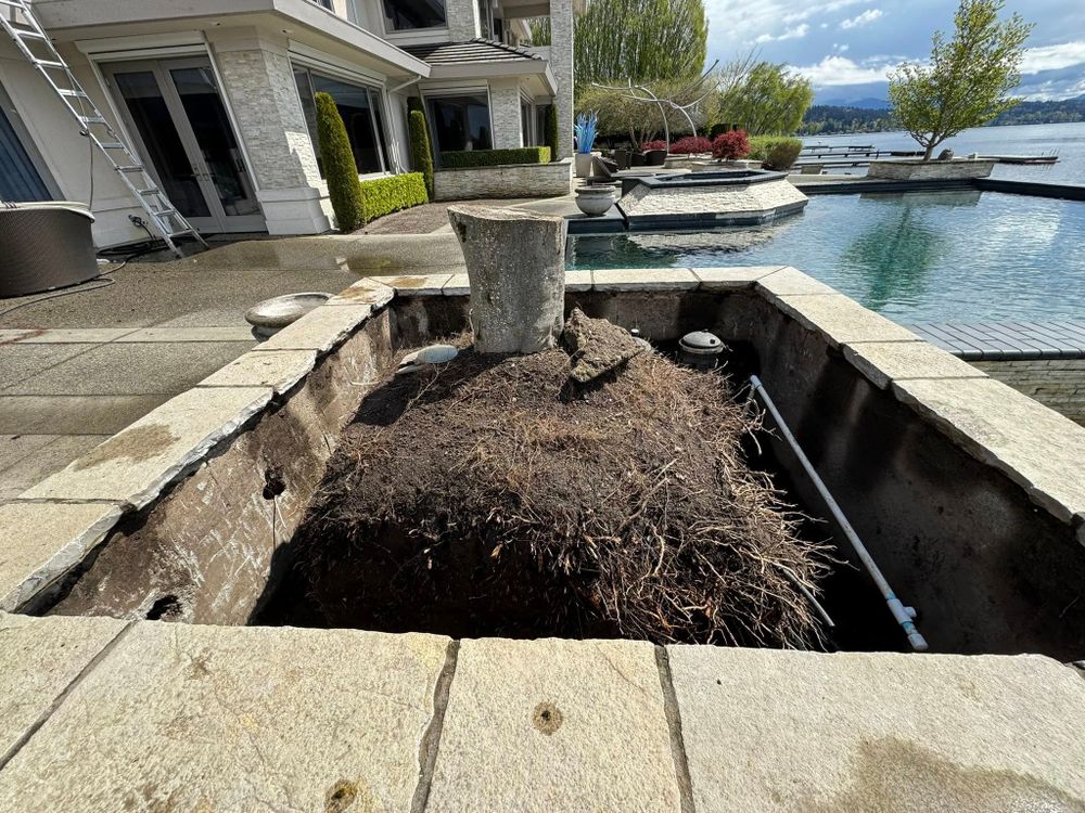 All Photos for Teo’s Property Maintenance and Solutions in Redmond, WA