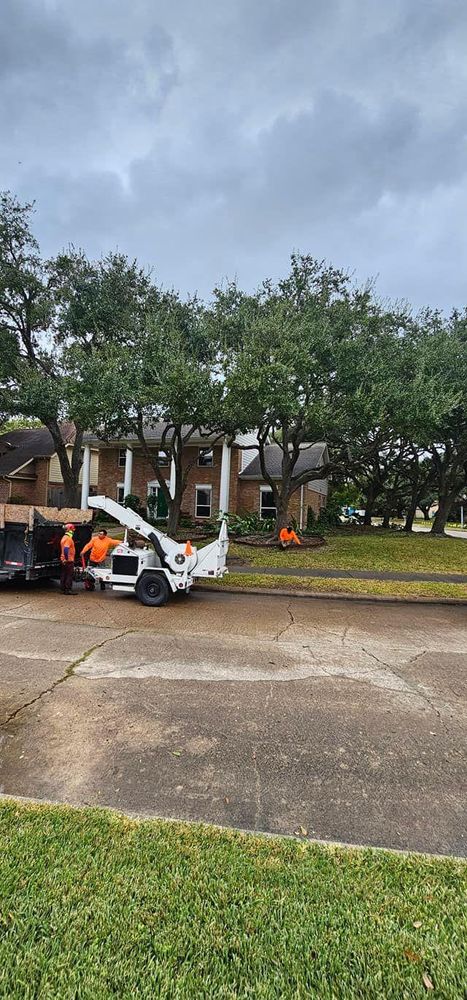 All Photos for Servin's Tree Care  in Houston, TX