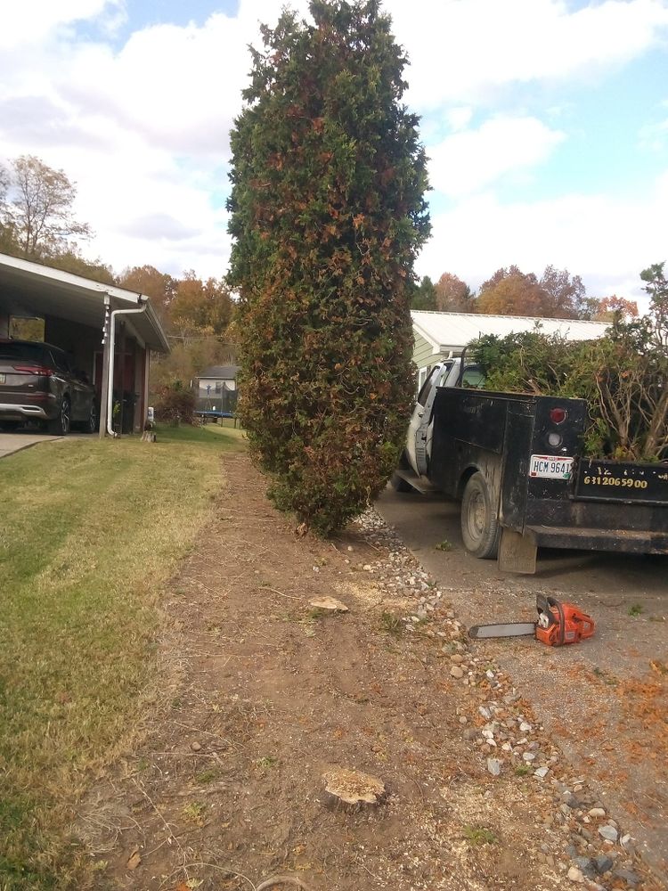 Fall and Spring Clean Up for Hayes Tree And HandyMan Services LLC in , 