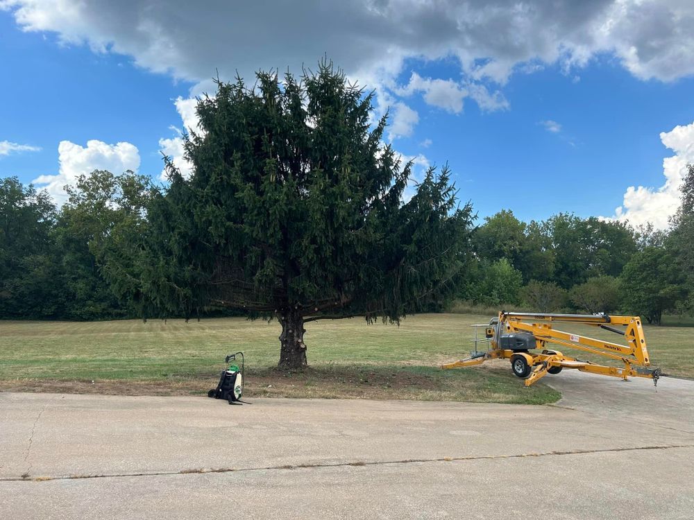 Landscaping for Basler Outdoor Services, LLC in Farmington ,  MO