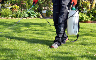 Our Weed Control service ensures a lush, healthy lawn by targeting unwanted plants, promoting grass growth and enhancing curb appeal through customized treatments designed to prevent and eliminate invasive weeds effectively. for Chief Lawn Care in Lee's Summit, MO