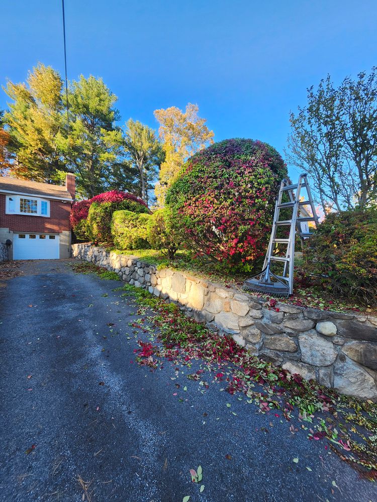 All Photos for Landscape Innovations LLC in Torrington, CT