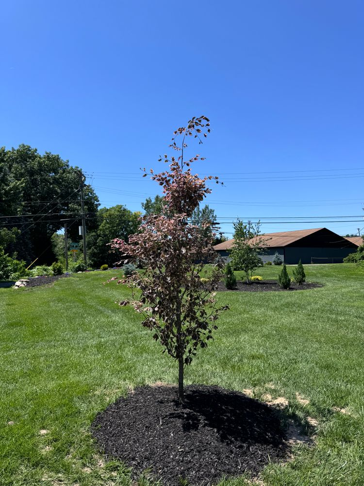 All Photos for Steed's Lawn and Landscape LLC in White Lake, MI