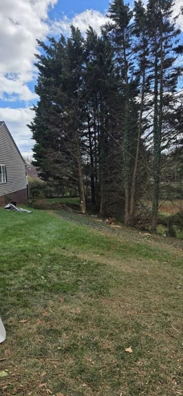 All Photos for Hamlett Tree Service LLC in Clover, VA