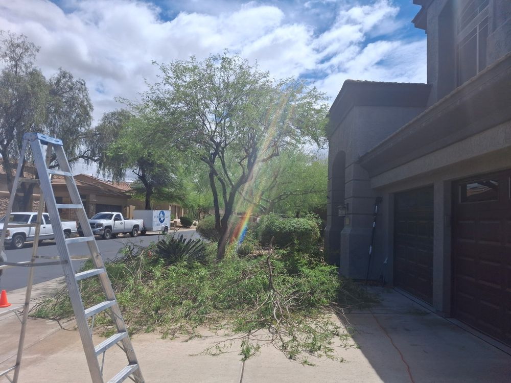 All Photos for Family Landscaping in Phoenix, AZ