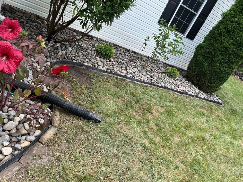 All Photos for Branch Out Tree Care LLC in Fredericksburg, VA