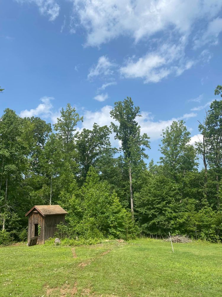 Tree Removal for Ascending Tree Service LLC in Kenbridge, VA