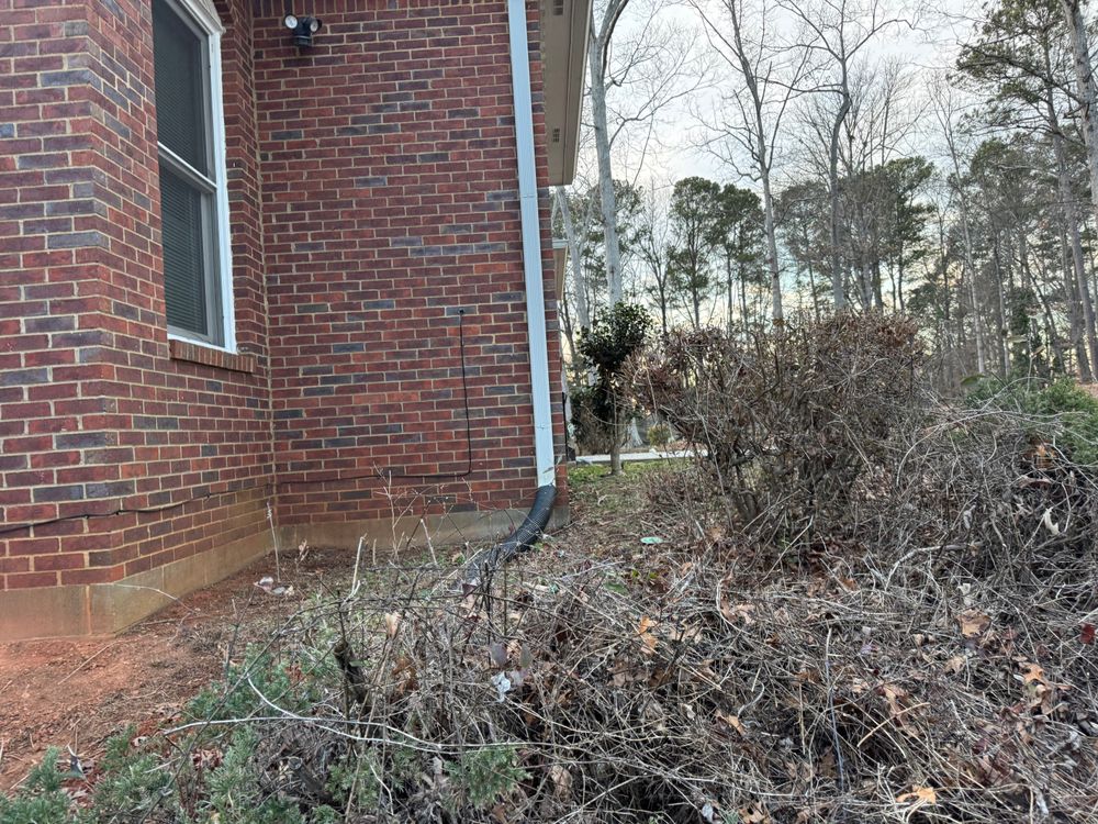 All Photos for FNS Exterior Consulting LLC, Powered By Live OAK in Cumming, GA