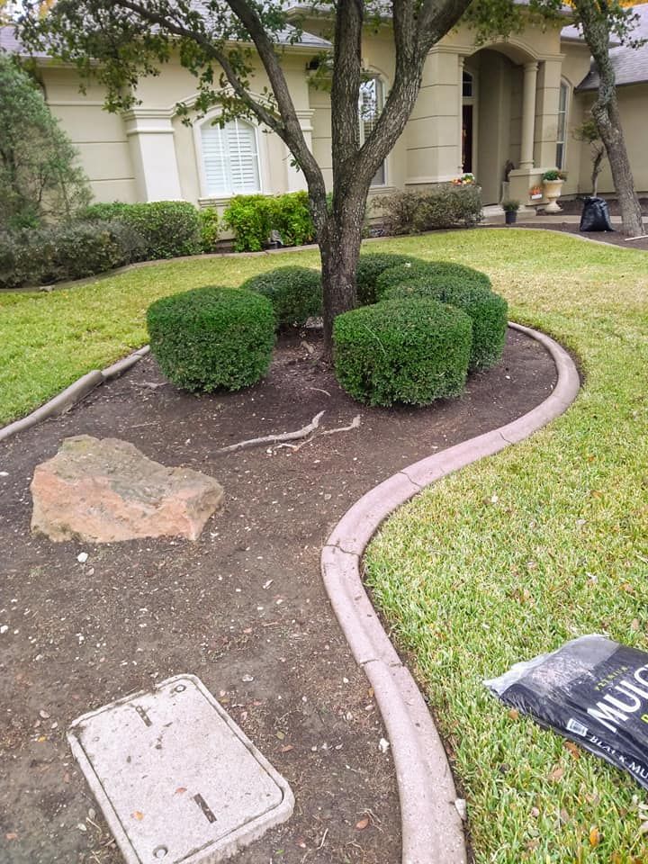 All Photos for Green City Landscape and Lawn Care LLC in Mesquite, TX