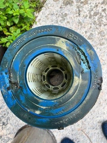 All Photos for Blue Bay Pools in Tampa, FL