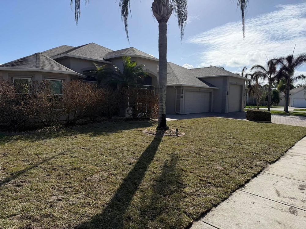 All Photos for Florida Pro Turf in Rockledge, FL