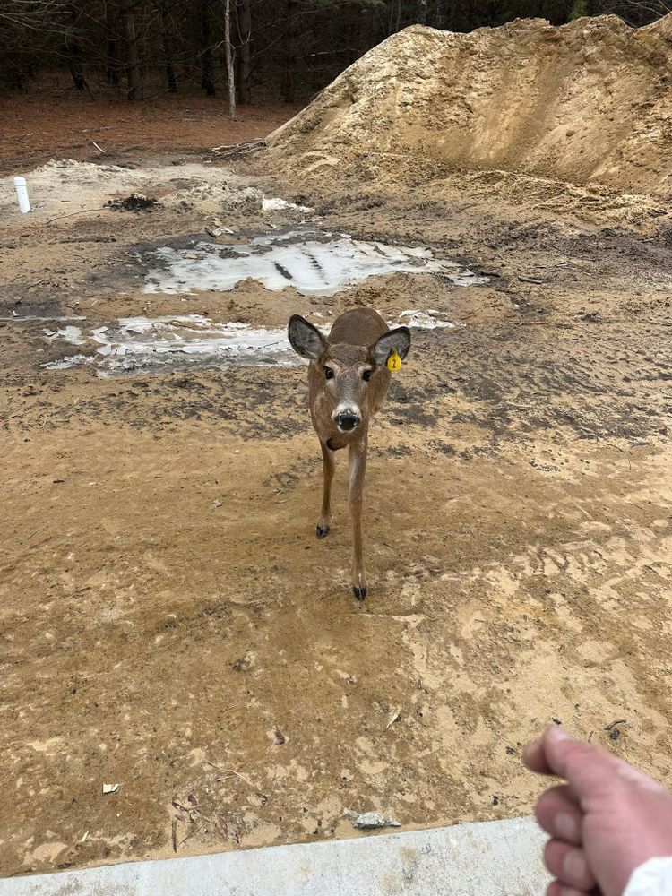 All Photos for ROI Spray Foam in Plymouth, IN