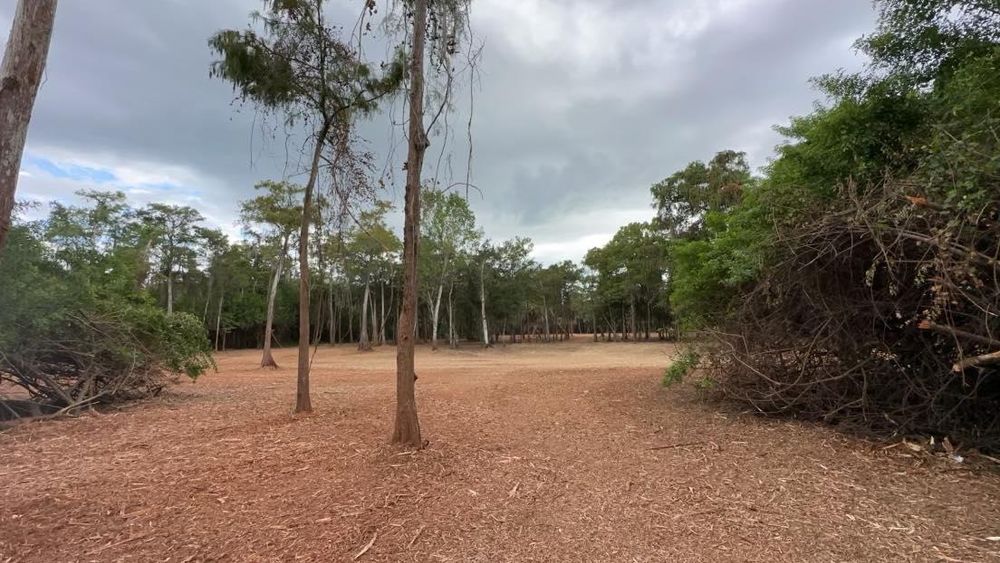 All Photos for McLeran in Naples, FL