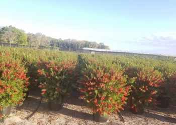 All Photos for Cunningham's Lawn & Landscaping LLC in Daytona Beach, Florida