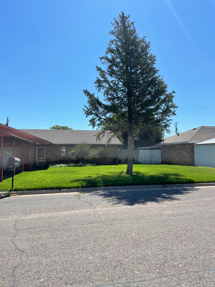 All Photos for R&J Hydromulch in Booker, TX