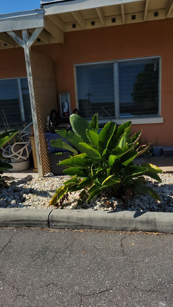 All Photos for Millenium Construction & Property Management in Tampa, FL