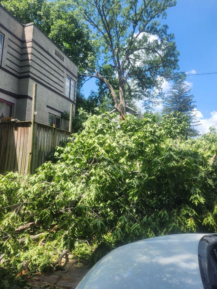 All Photos for Lawn Ranger Yard And Tree Service LLC in Ottumwa, IA