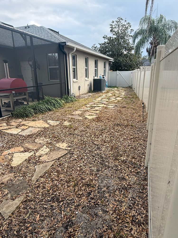 All Photos for Amerigrown Tree And Lawn in Apopka, FL