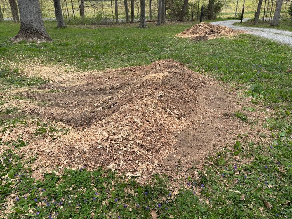All Photos for Conrad's Stump Removal in Columbus, IN
