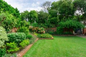 All Photos for Jem Landscaping in Wendell, NC