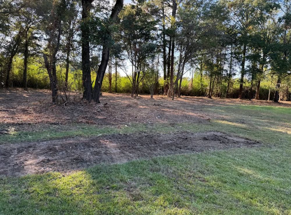 All Photos for T N L - Tree and Land Service in Reynolds, GA