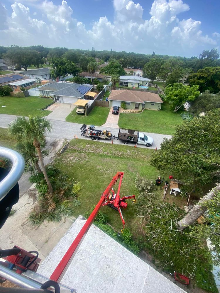 Tree Removal for MX Trees LLC in Englewood, FL