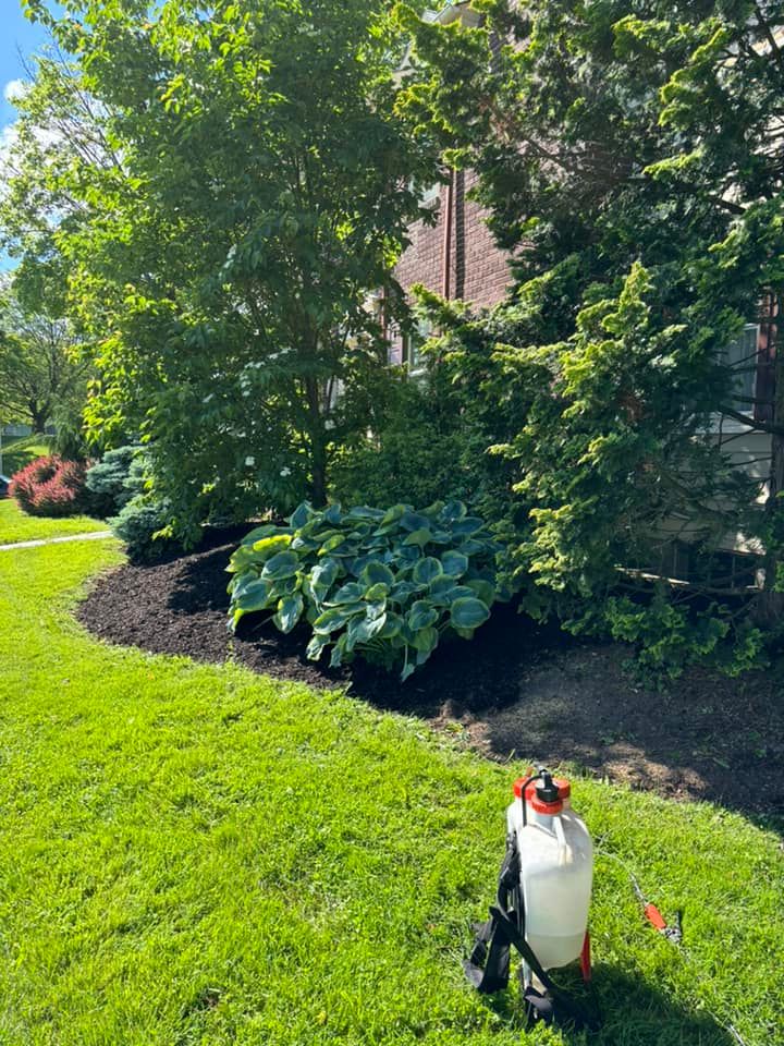 Projects  for Rigante LandWorx in Nazareth, PA