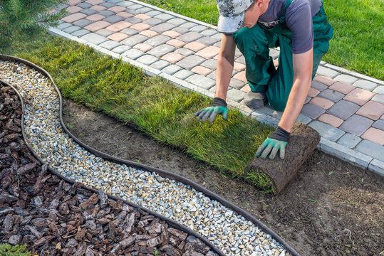 Our Lawn Maintenance service keeps your property healthy, neat, and inviting with routine mowing, edging, trimming, seasonal care, and dependable attention that enhances curb appeal and protects your landscape investment. for Wise Guys Landscapes in Amarillo, TX